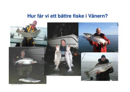 Hur får vi ett bättre fiske i Vänern?  Tillgång på bytesfisk