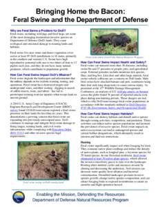 Bringing Home the Bacon: Feral Swine and the Department of Defense Why are Feral Swine a Problem for DoD? Feral swine, including wild pigs and feral hogs, are some of the most damaging mammalian invasive species on Depar