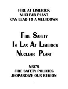 FIRE AT LIMERICK NUCLEAR PLANT CAN LEAD TO A MELTDOWN FIRE SAFETY IS LAX AT LIMERICK