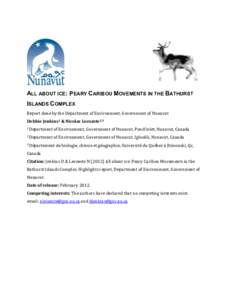 Peary caribou / Bathurst Island / Biology / Baffin Bay / Barren-ground Caribou / Reindeer / Zoology / Queen Elizabeth Islands