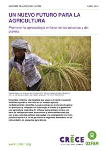 Un Nuevo Futuro Para La Agricultura: Promover la agroecología en favor de las personas y del planeta