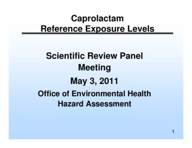 Caprolactam / Lactams / Odor / No observable adverse effect level / Toxicology / Chemistry / Monomers