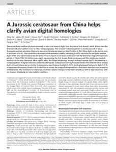 A Jurassic ceratosaur from China helps clarify avian digital homologies