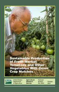 Sustainable Production of Fresh-Market Tomatoes and Other Vegetables With Cover Crop Mulches United States