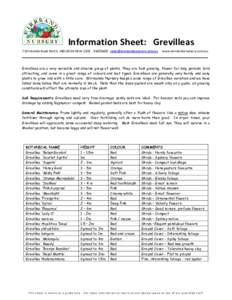 Information Sheet: Grevilleas 7 Wirreanda Road North, INGLESIDE NSW[removed]sales@wirreandanur sery.com.au www.wirreandanursery.com.au  Grevilleas are a very versatile and diverse group of plants. They are fast gro