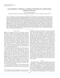 J. Paleont., 78(3), 2004, pp. 574–590 Copyright ᭧ 2004, The Paleontological Society[removed][removed]$03.00