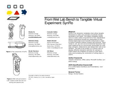 From Wet Lab Bench to Tangible Virtual Experiment: SynFlo Wendy Xu Consuelo Valdes