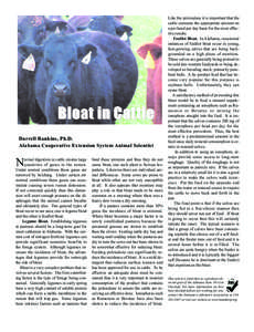 Bloat in Cattle Darrell Rankins, Ph.D. Alabama Cooperative Extension System Animal Scientist ormal digestion in cattle creates large quantities of gases in the rumen. Under normal conditions these gases are