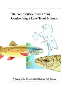 The Yellowstone Lake Crisis: Confronting a Lake Trout Invasion A Report to the Director of the National Park Service  Publication of this report was funded in