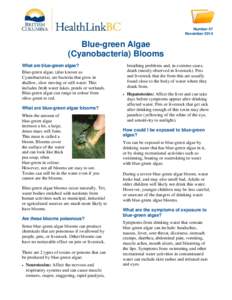 Blue-green Algae (Cyanobacteria) Blooms - HealthLinkBC File #47 - Printer-friendly version