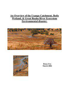 An Overview of the Usangu Catchment, Ihefu Wetland, & Great Ruaha River Ecosystem Environmental disaster.