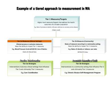 Tier 1 Measures/Targets Higher-level measures/targets that address the health outcomes of a broader population E.g. Rate of premature deaths (<65 years old) due to coronary artery disease  (State Level)