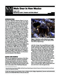 Mule Deer in New Mexico Guide L-301 Revised by Louis C. Bender and Chris Allison1 Cooperative Extension Service • College of Agricultural, Consumer and Environmental Sciences  INTRODUCTION