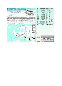 Birds in Europe – Larks  Calandrella brachydactyla