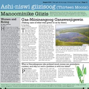 August 2010 | Nah gah chi wa nong • Di bah ji mowin nan | Page 13  Ashi-niswi giizisoog (Thirteen Moons) Manoominike Giizis Women and Ricing