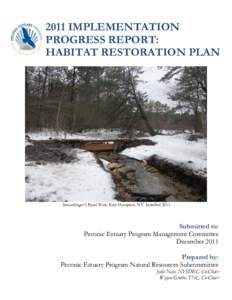 2011 IMPLEMENTATION PROGRESS REPORT: HABITAT RESTORATION PLAN Staundinger’s Pond Weir, East Hampton, NY. Installed 2011.