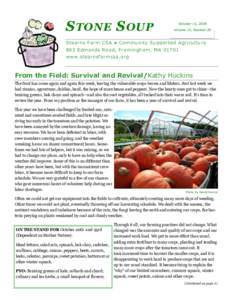 S TONE S OUP  October 16, 2009 Volume 10, Number 20  Stearns Farm CSA ● Community Supported Agriculture