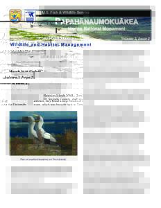 Hawaii / Tanager Expedition / Albatrosses / Acrocephalus / Island restoration / Laysan / Papahānaumokuākea Marine National Monument / French Frigate Shoals / Midway Atoll / Northwestern Hawaiian Islands / Fauna of the United States / Water