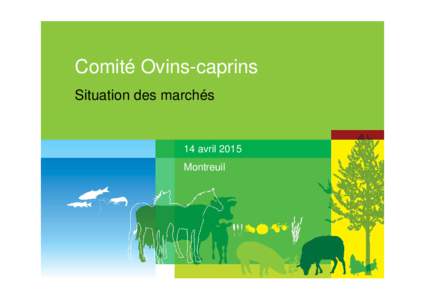 Comité Ovins-caprins Situation des marchés 14 avril 2015 Montreuil