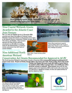 Atlantic Coast Joint Venture News Partners working together for the conservation of native bird species in the