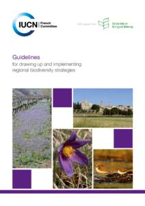With support from:  Guidelines for drawing up and implementing regional biodiversity strategies