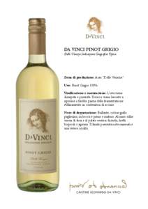 DA VINCI PINOT GRIGIO Delle Venezie Indicazione Geografica Tipica