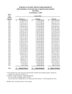 Schedule of Debt Service Requirements