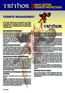 3  WAYS BETTER TERMITE PROTECTION  TERMITE MANAGEMENT