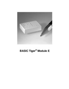 BASIC Tiger® Module E  Copyright © by Wilke Technology GmbH Krefelder Str. 147