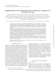 Annals of Botany 97: 529–539, 2006 doi:aob/mcl016, available online at www.aob.oxfordjournals.org Lignification and Cell Wall Thickening in Nodes of Phyllostachys viridiglaucescens and Phyllostachys nigra B I E