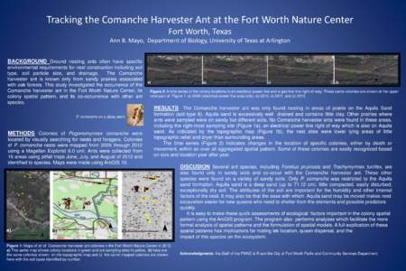 Tracking the Comanche Harvester Ant at the Fort Worth Nature Center Fort Worth, Texas Ann B. Mayo, Department of Biology, University of Texas at Arlington BACKGROUND Ground nesting ants often have specific environmental 