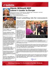 e-bulletin  July 2011 Glenis Willmott MEP Labour’s Leader in Europe