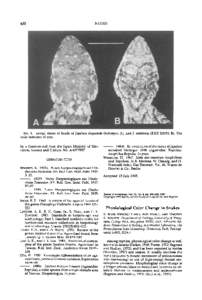 NOTES  450 FIG.3. Dorsal views of heads of Japalura chapaensis (holotype; A), and J. swinhonis (KUZ R2933; B). The scale indicates 10 mm.