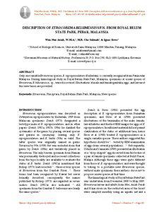 Wan Nur Asiah, W.M.A., M.R. Che Salmah, & I. Sivec[removed]Description of Etrocorema belumensis sp.n. from Royal Belum State Park, Perak, Malaysia. Illiesia, 5(17):[removed]Available online: http://www2.pms-lj.si/illiesia/Illiesia05-17.pdf