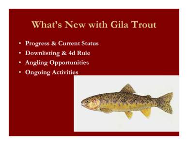 What’s New with Gila Trout • • • •