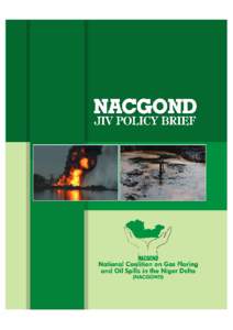 International relations / Shell Nigeria / Royal Dutch Shell / Africa / Nigeria / Environmental issues in the Niger Delta / Niger River Delta / Niger Delta / Political geography