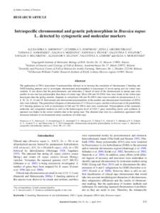 c Indian Academy of Sciences  RESEARCH ARTICLE  Intraspeciﬁc chromosomal and genetic polymorphism in Brassica napus