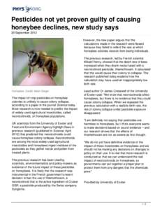 Pesticides not yet proven guilty of causing honeybee declines, new study says