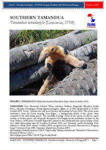 Smith P - Tamandua tetradactyla - FAUNA Paraguay Handbook of the Mammals of Paraguay  Number[removed]