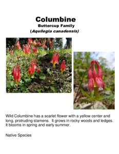 Columbine Buttercup Family (Aquilegia canadensis) Wild Columbine has a scarlet flower with a yellow center and long, protruding stamens. It grows in rocky woods and ledges.