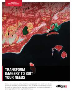 Satellite image processing Transform imagery to suit your needs