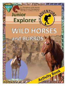 Palomino Valley National Wild Horse and Burro Center