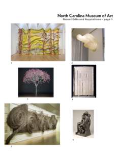 El Anatsui / Roxy Paine / Ursula von Rydingsvard / Jennifer Steinkamp / Contemporary art / Modern art / Visual arts / North Carolina Museum of Art / Guggenheim Fellows / Jaume Plensa