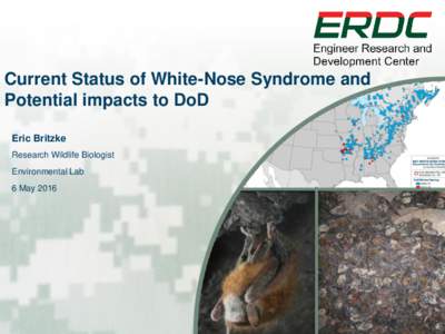 Current Status of White-Nose Syndrome and Potential impacts to DoD Eric Britzke Research Wildlife Biologist Environmental Lab 6 May 2016