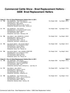 Commercial Cattle Show - Bred Replacement Heifers 500B Bred Replacement Heifers  Class 01 - Pen of 5 Bred Replacement Heifers Born in 2011 1st  762