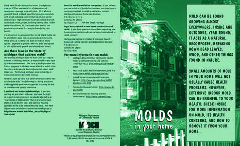 Black mold (Stachybotrys chartarum, Stachybotrys atra, or SC) has received a lot of television and newspaper coverage in recent years. SC is white or greenish-black to black mold that grows on materials with a high cellu
