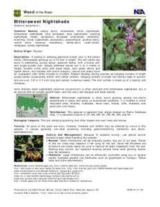 Medicinal plants / Flora of India / Flora of Lithuania / Flora of Morocco / Flora of Romania / Solanum dulcamara / Solanum / Bindweed / Celastrus scandens / Flora / Biota / Botany