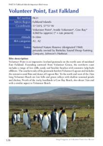 Volunteer Point / White-bridled Finch / Gentoo Penguin / Falkland Islands / King Penguin / Melanodera / East Falkland / Saunders Island /  Falkland Islands / Index of Falkland Islands-related articles / Fauna of South America / Flightless birds / Penguins