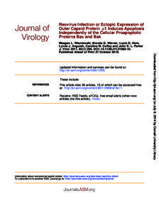 Reovirus Infection or Ectopic Expression of Outer Capsid Protein µ1 Induces Apoptosis Independently of the Cellular Proapoptotic Proteins Bax and Bak  Updated information and services can be found at: