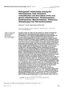 Purple sulfur bacteria / Chromatiaceae / 16S ribosomal RNA / Proteobacteria / Allochromatium / Chromatium